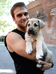 Pornstars and puppy dogs