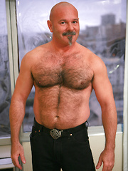 Old bear gets naked