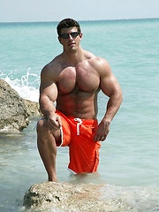 Hot muscular body