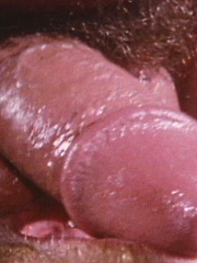 Vintage porn pics - Frank Vickers and Neal Shaw