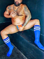 Brooklyn Bear solo