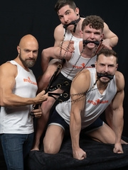 Stud Loads #10, Title: Mare Assessment