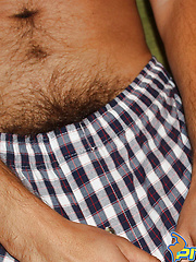 Hairy Uncut Bush
