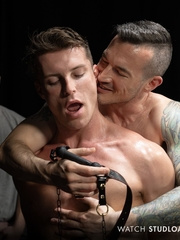 Stud Loads Vol. 5. Stable Master