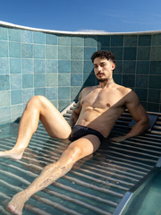 Sir Peter Bangs Brazil