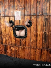 Breeding Wall .Stud Loads Vol. 3