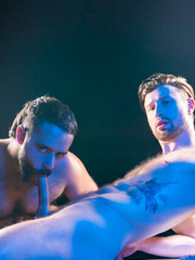 MetaSEX