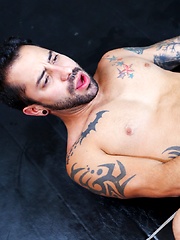 High Performance Men - The Triathlete