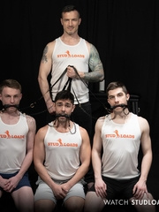 Stud Loads Vol. 4, Marking the Stallions